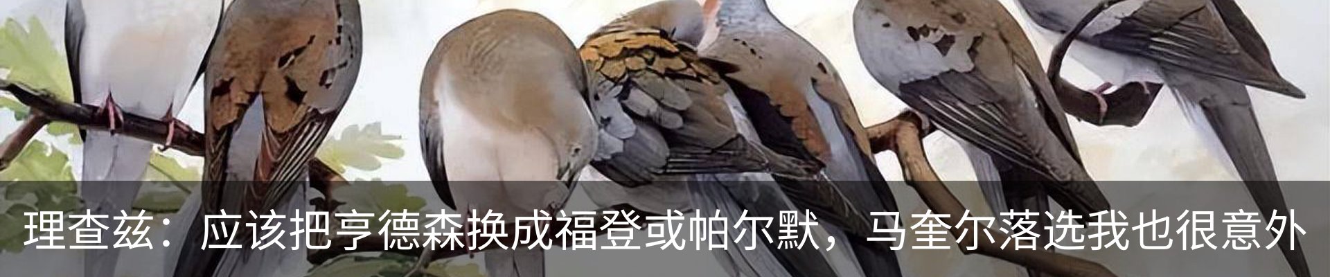 行业资讯